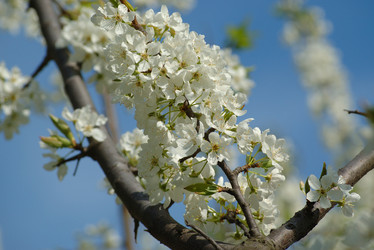 Similar image 828928