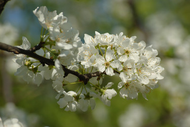 Similar image 828930