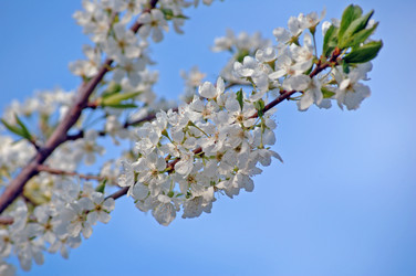 Similar image 828931