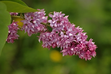 Similar image 828934