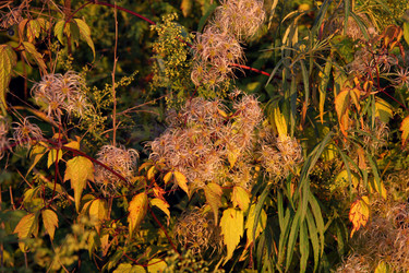 Similar image 828936