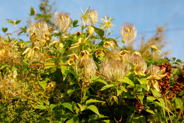 Similar image 828937