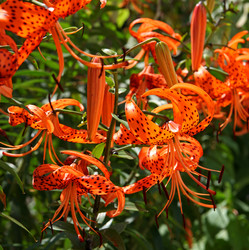 Similar image 828938