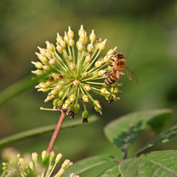 Similar image 828939