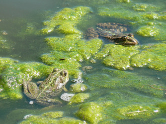 Similar image 829036