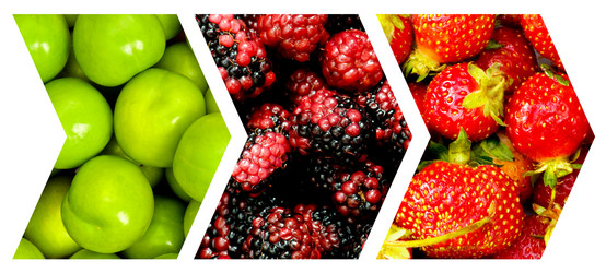 Similar image 829074