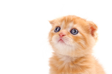 Similar image 829097