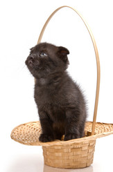 Similar image 829099