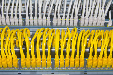 Similar image 829109