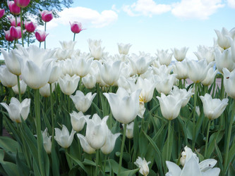 Similar image 829129