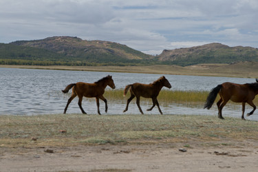 Similar image 829167