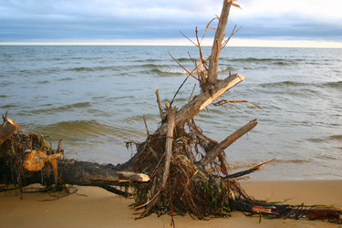 Similar image 829185