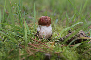 Similar image 829187