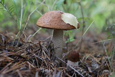 Similar image 829188