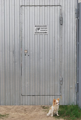 Similar image 829206