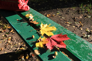 Similar image 829220