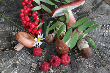 Similar image 829223