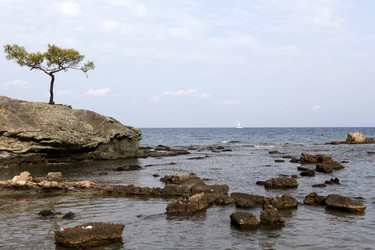 Similar image 829250