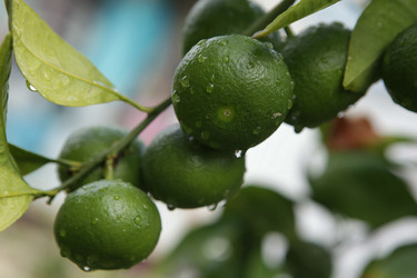 Similar image 829273