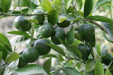 Similar image 829274