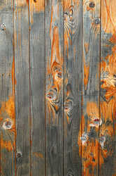 Similar image 829462