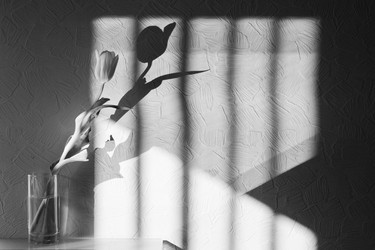 Similar image 829482