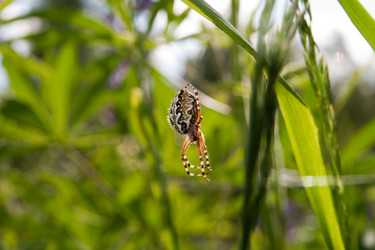 Similar image 829484