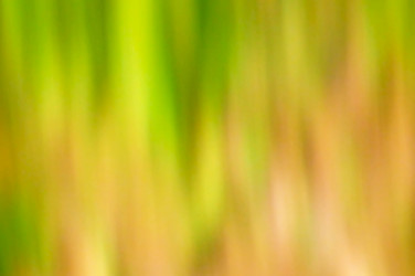 Similar image 829490