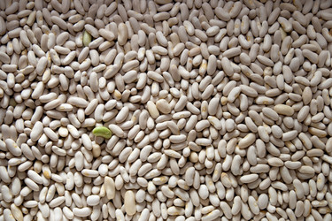 Similar image 829492