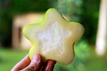 Similar image 829506