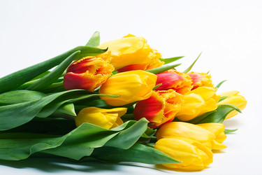 Similar image 829525