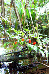 Similar image 829531