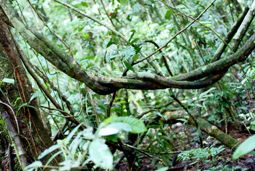 Similar image 829538