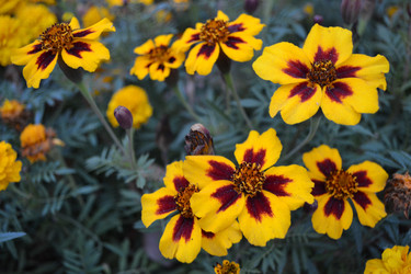 Similar image 829540