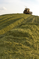 Similar image 829579