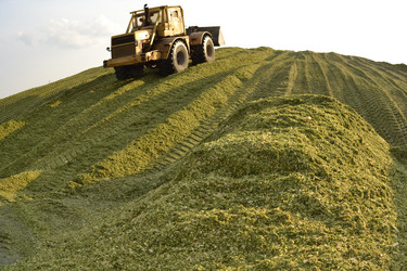 Similar image 829580