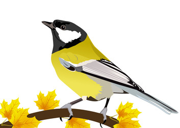 Similar image 829581