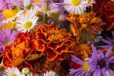 Similar image 829604