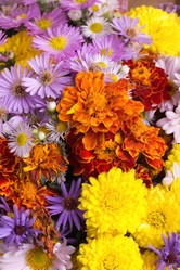 Similar image 829607