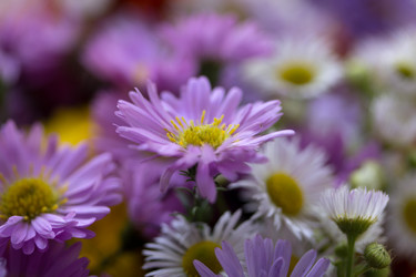 Similar image 829608