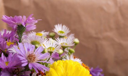 Similar image 829611