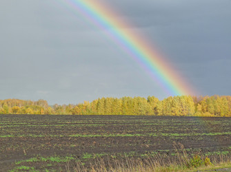 Similar image 829649