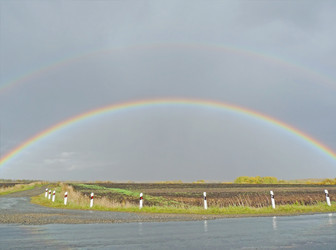 Similar image 829650