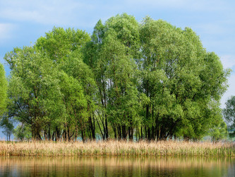 Similar image 829664