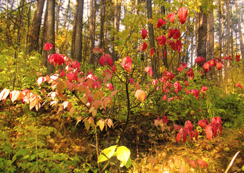 Similar image 829667