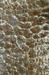 Similar image 829699