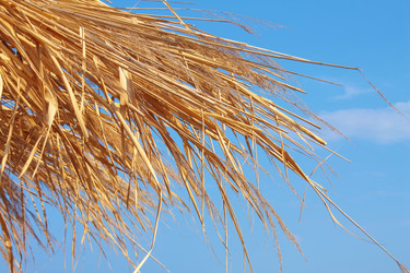 Similar image 829833