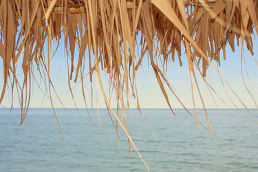 Similar image 829835