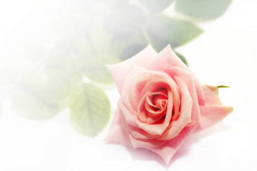 Similar image 829851