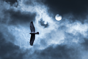 Similar image 829854